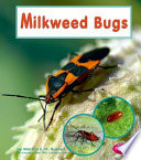 Milkweed Bugs cover