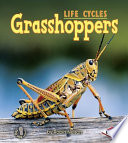 Grasshoppers cover