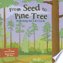 From Seed to Pine Tree: Following the Life Cycle cover
