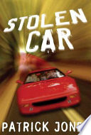 Stolen Car cover