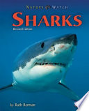 Sharks (Revised Edition) cover