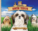 Shaggy Shih Tzus cover