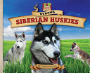 Strong Siberian Huskies cover