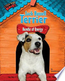 Jack Russell Terrier: Bundle of Energy cover