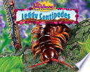 Leggy Centipedes cover