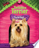 Yorkshire Terrier: Tiny but Tough cover
