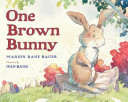 One Brown Bunny cover