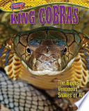 King Cobras: The Biggest Venomous Snakes of All! cover