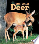 Deer cover