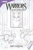 The Lost Warrior cover