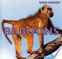 Baboons cover