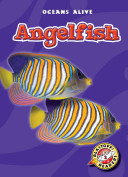 Angelfish cover
