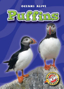 Puffins cover