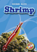 Shrimp cover