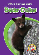 Bear Cubs cover