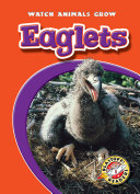 Eaglets cover