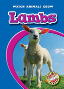 Lambs cover