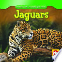 Jaguars cover