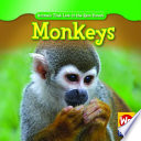 Monkeys cover