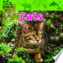 Cats cover