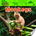Monkeys cover