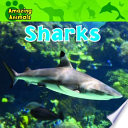 Sharks cover
