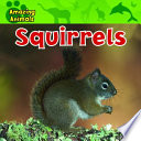 Squirrels cover