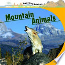Mountain Animals cover