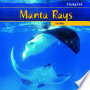 Manta Rays cover