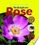 The Life Cycle of a Rose cover