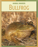 Bullfrog cover