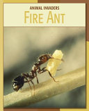 Fire Ant cover