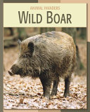 Wild Boar cover