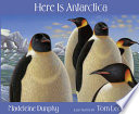 Here Is Antarctica cover