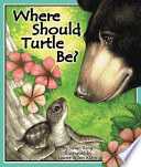 Where Should Turtle Be? cover