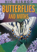 Nic Bishop Butterflies and Moths cover