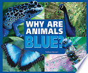 Why Are Animals Blue? cover