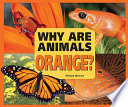 Why Are Animals Orange? cover