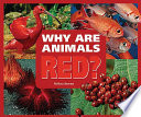 Why Are Animals Red? cover