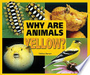 Why Are Animals Yellow? cover