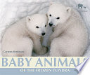 Baby Animals of the Frozen Tundra cover