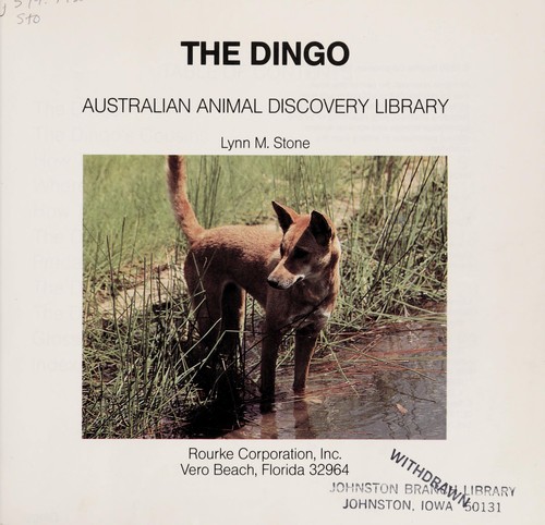 Dingoes cover