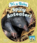 It's a Baby Spiny Anteater! cover