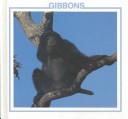 Gibbons cover