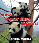 How Many Baby Pandas? cover