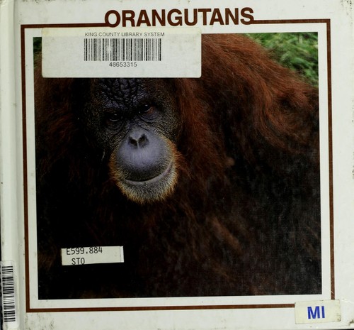 Orangutans cover