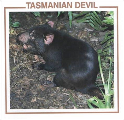 Tasmanian Devil cover