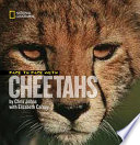 Face to Face with Cheetahs cover