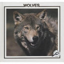Wolves cover
