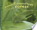 Animal Camouflage in the Forest cover
